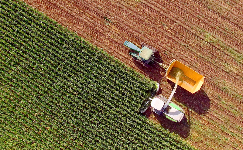 Agriculture Agriculture