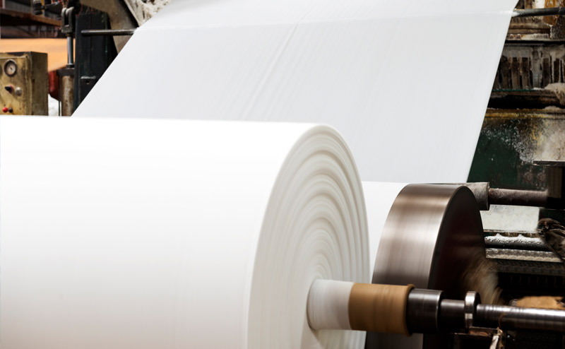 Pulp & Paper Pulp & Paper